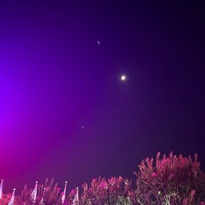 Meet your Posher, Mickey